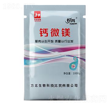 �}΢������΢��Ԫ�أ�-��������