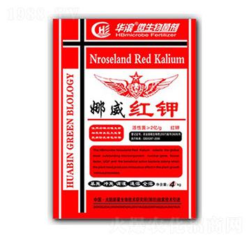 �����t�-�A�I����