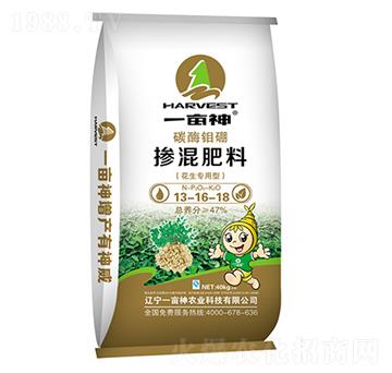 47%���������͓������13-16-18-��t��-һ����