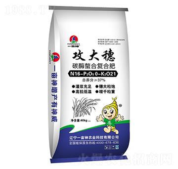 ̼ø���Ϗ�(f��)�Ϸ���16-0-21-������-һ����