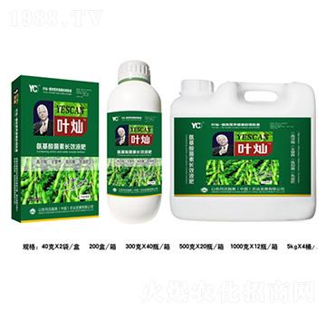 �󶹰���������L(zh��ng)ЧҺ��-�~�N-�»�