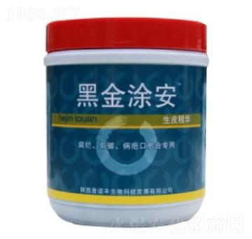 �ڽ�Ϳ��-���Z�S