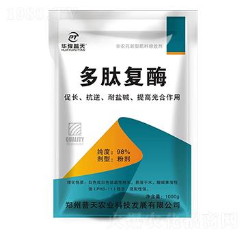 ���ď�ø-�����r(n��ng)�I(y��)