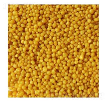 ���������@-����ʩ