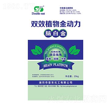 �pЧֲ�������-�p�|-���|����