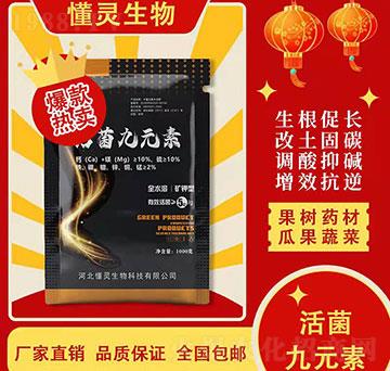 �����Ԫ��-���`����