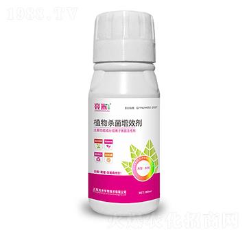 ����ֲ�����Ч��-��������