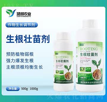 �������焩-�B��r�I(y��)