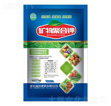 �V��ۺ��-�������