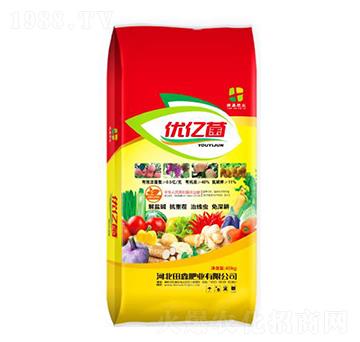 40%��(y��u)�|��-���ηʘI(y��)