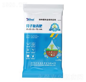 ���ӷ����21-21-21+TE+HA-������(sh��)�I(y��)