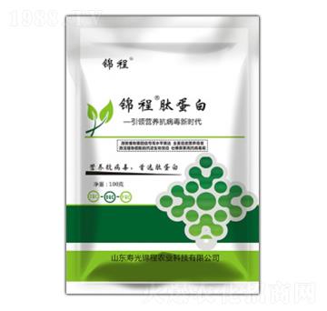 �ĵ���-�\���r(n��ng)�I(y��)