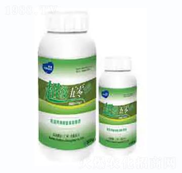 ��������2̖-��������