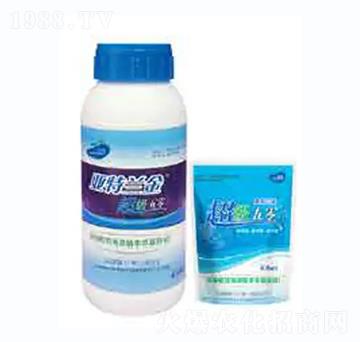 ��������-��������