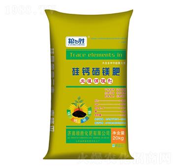 �����{(di��o)�턩-���}���V��-������