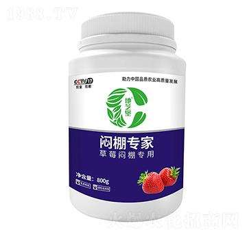 ��ݮ�����-�����-������