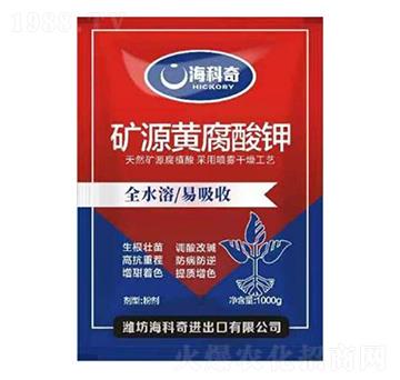 �VԴ�S�����-������