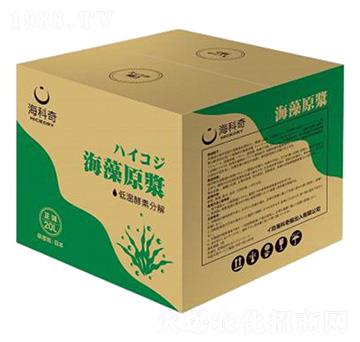 ����ԭ�{-������