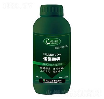 �������-������