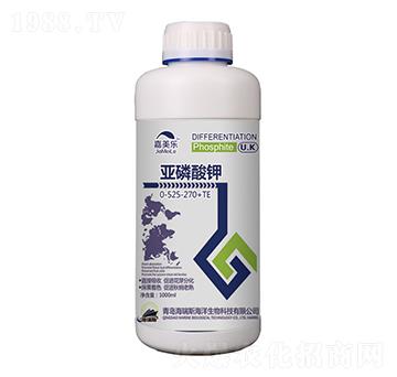 �������0-525-270+TE-������-����˹