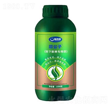 ������������ͺ�������ˮ�ܷ���-����-������