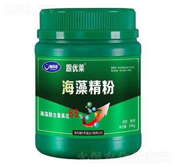 ���徫��-����(y��u)�R-������