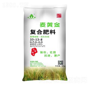 �ͺϷ���25-12-8-���S��-���ϻ���