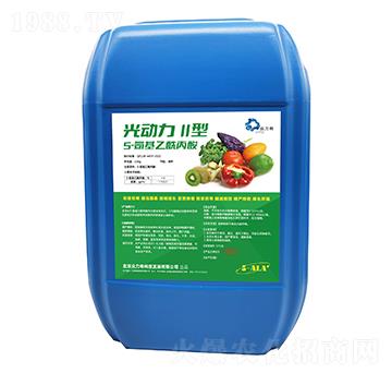 5������������-���(d��ng)��II��-������