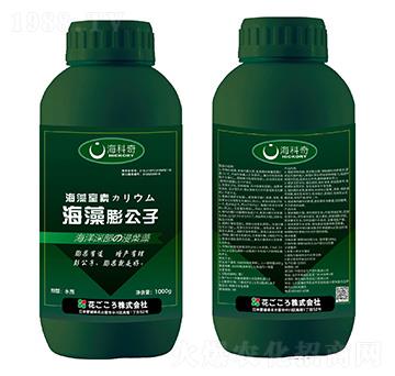 海藻膨公子-?？破? />
                                </div>
                            </div>
                            
                            <style type=