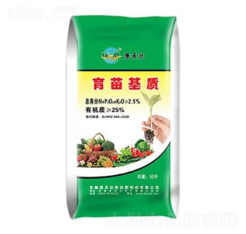 ������|(zh��)-�ݺ̉�����