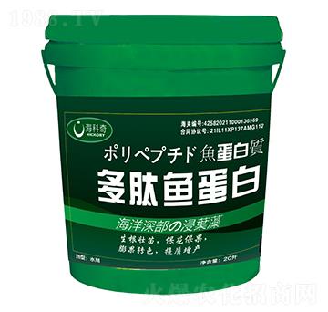 �����~(y��)����-������