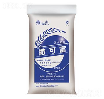 ��������������÷�13-19-15-���ɸ�-����������