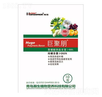 �޾���10g��-���