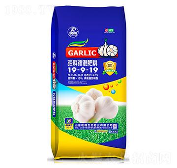 ��ጓ������19-9-19-�J��