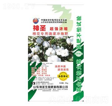 �޻��_ʩ��-��ʥ����