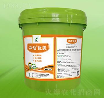 Ͱ�b�_�Ӄ�(y��u)��-�º��S