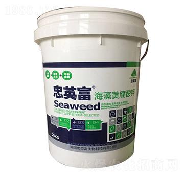 �����S�����-�|���S