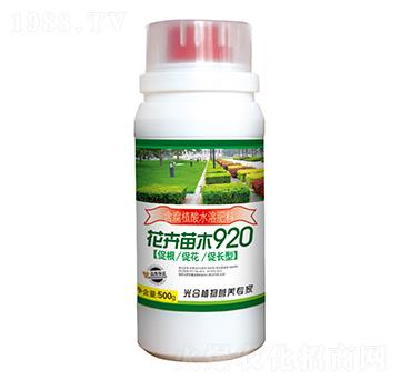 花卉苗木920-農夫生物