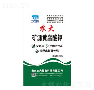 �VԴ�S�����-�r�����B(t��i)