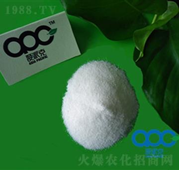 6-�S��������-��(��i)�ɿ�