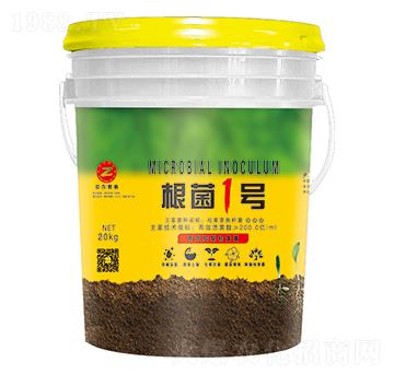 �ݲ�ѿ�ߗU��-����1̖