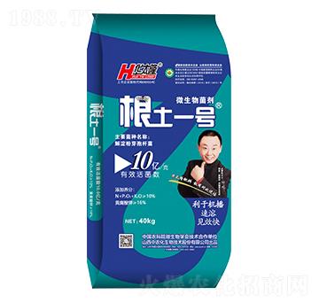 ʮ�|��΢�������-����