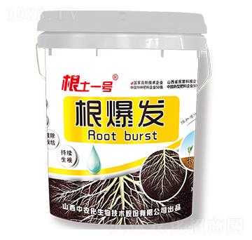 �����l(f��)-����һ̖-���r(n��ng)