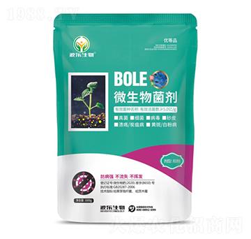 ΢�������-����(l��)����