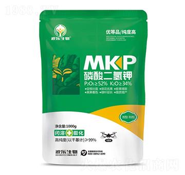 ��������-����(l��)����