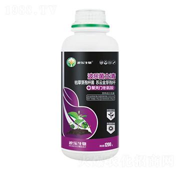 ����(l��)������-����(l��)����