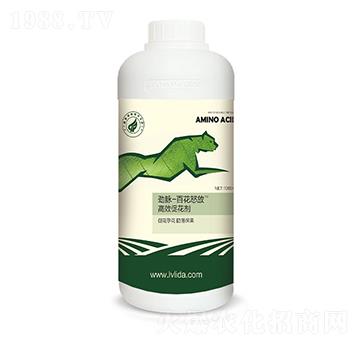 ��Ч�ٻ���-���}�ٻ�ŭ��-�G���_