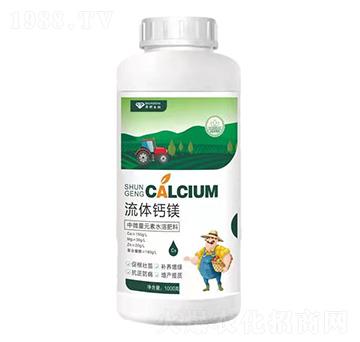 ���w�}�V-����ֲ��