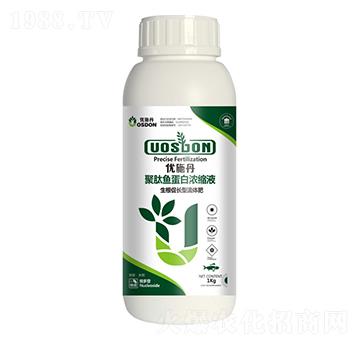 �������L�;����~���ם�sҺ-��(y��u)ʩ��