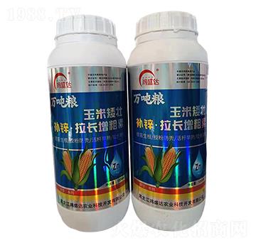 �a�\���L���L��-��ʢ�_